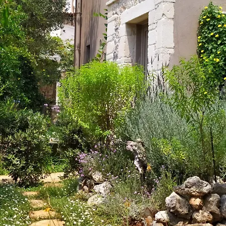 Olive Lemon Biophilic House & Lush Forest Garden *