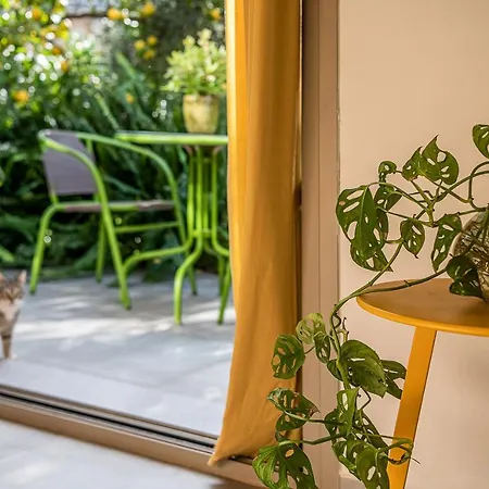 Olive Lemon Biophilic House & Lush Forest Garden *