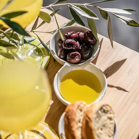 Olive Lemon Biophilic House & Lush Forest Garden *