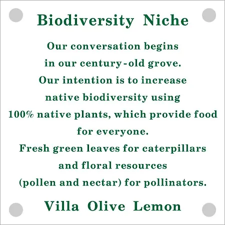Vakantiehuis Olive Lemon Biophilic House & Lush Forest Garden