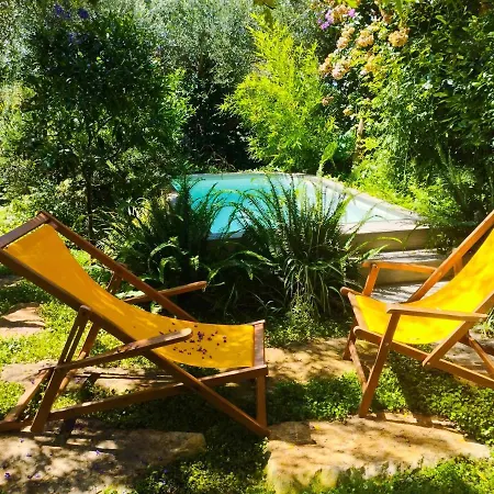 Olive Lemon Biophilic House & Lush Forest Garden Vakantiehuis Vamos