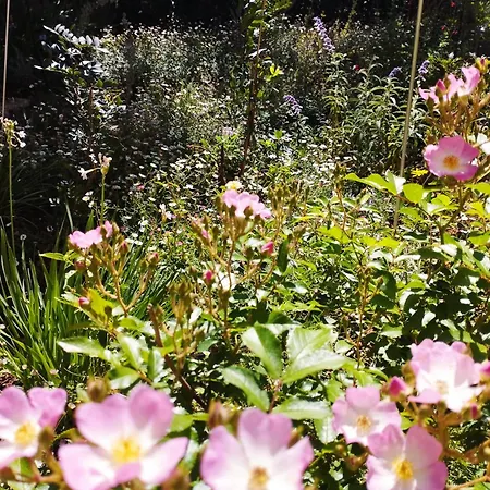Olive Lemon Biophilic House & Lush Forest Garden Hébergement de vacances