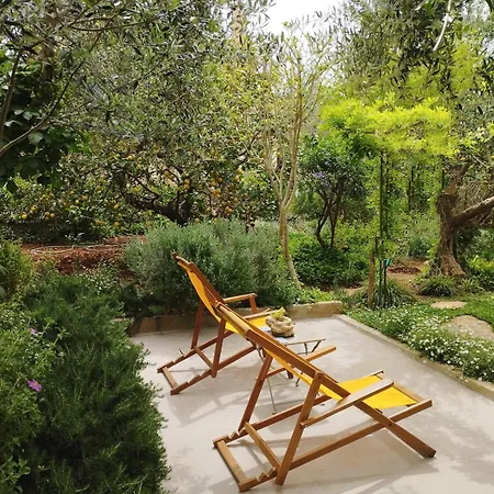 Olive Lemon Biophilic House & Lush Forest Garden Hébergement de vacances