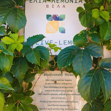 Olive Lemon Biophilic House & Lush Forest Garden * Vamos